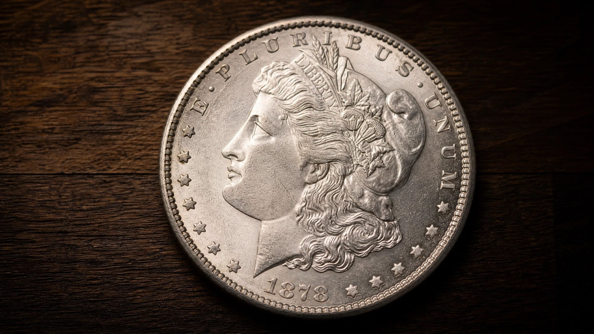Morgan Silver Dollar