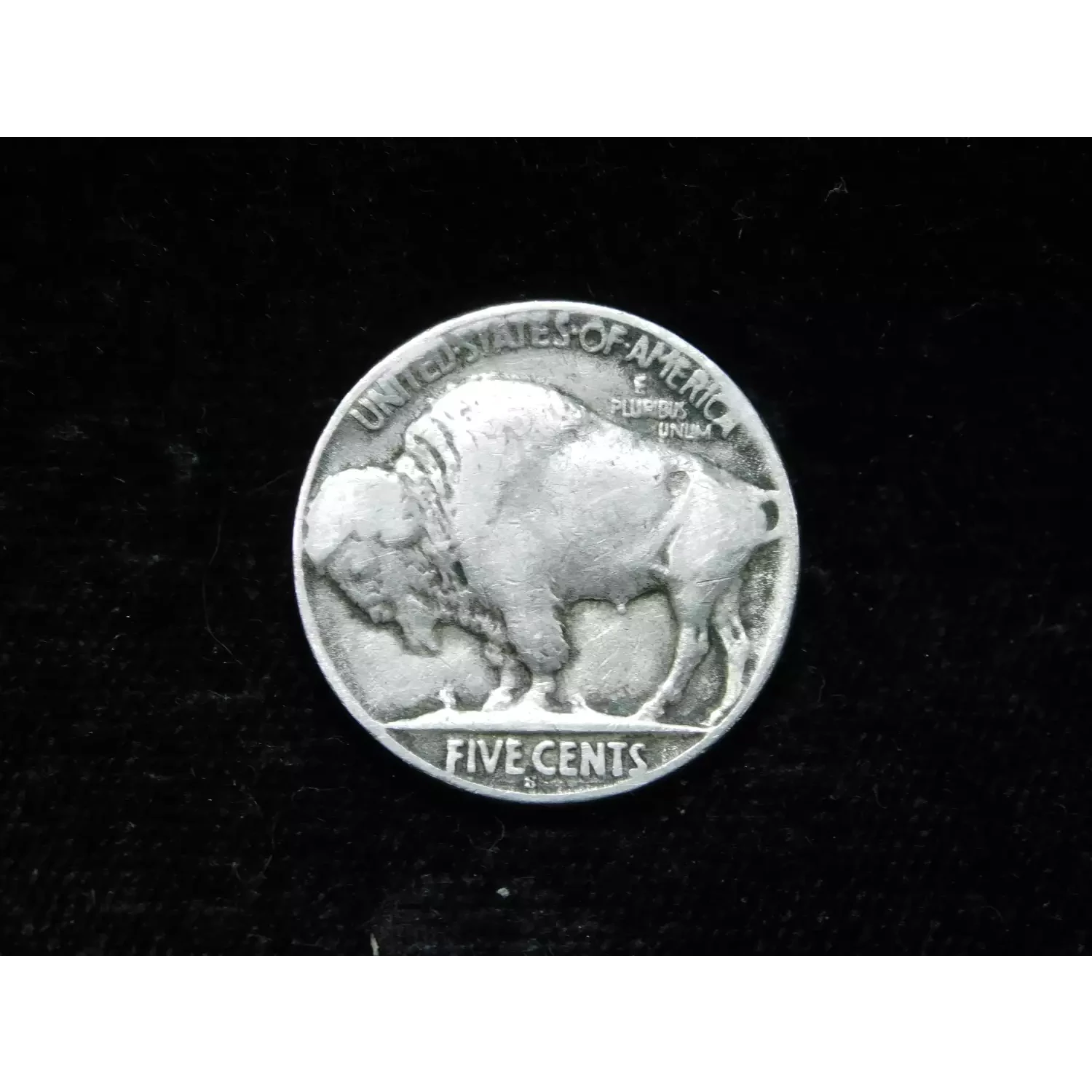 Buffalo Nickel
