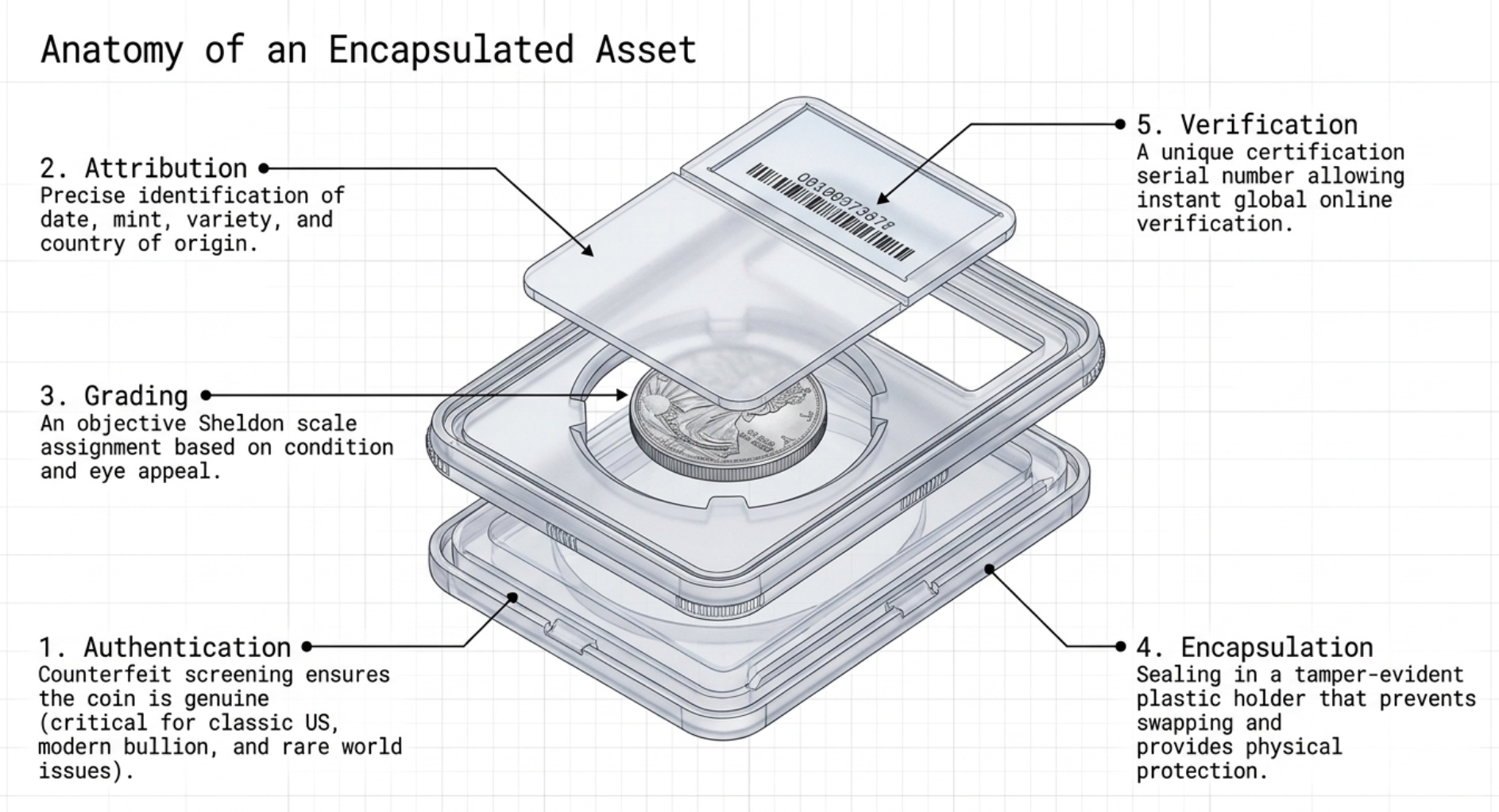How PCGS, NGC, and Other Certifications Impact the Value of Your Coins