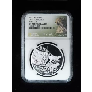 2016 CHEETAH BIG CATS SERIES ULTRA CAMEO (3)