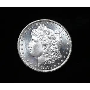 Morgan Silver Dollar (2)