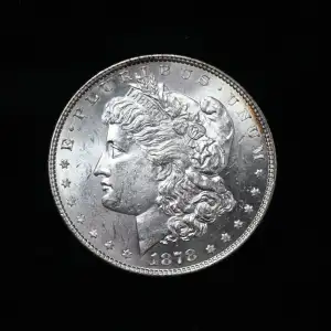 Morgan Silver Dollar