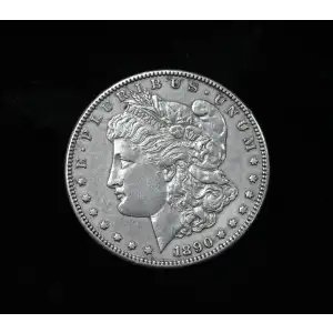 Morgan Silver Dollar