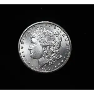 Morgan Silver Dollar