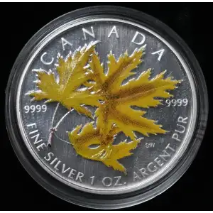2006 $5 Canada Colorized Silver Maple Leaf 1 oz 9999 Fine Silver in Capsule
