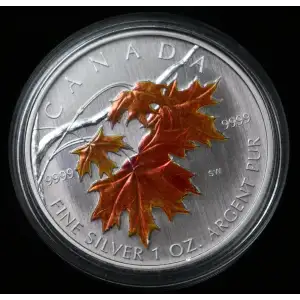2007 $5 Canada Colorized Silver Maple Leaf 1 oz 9999 Fine Silver in Capsule (2)