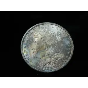 Morgan Silver Dollar