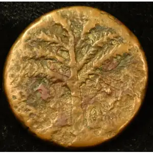 Judaea AD 132-135 AE 'Middle Bronze' Bar Kokhba