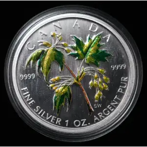 2003 $5 Canada Colorized Silver Maple Leaf 1 oz 9999 Fine Silver in Capsule (3)