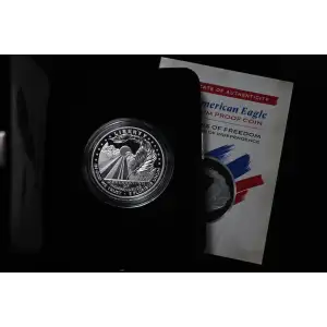 2026 $100 PF Platinum 1oz Eagle in Box w/ COA (4)
